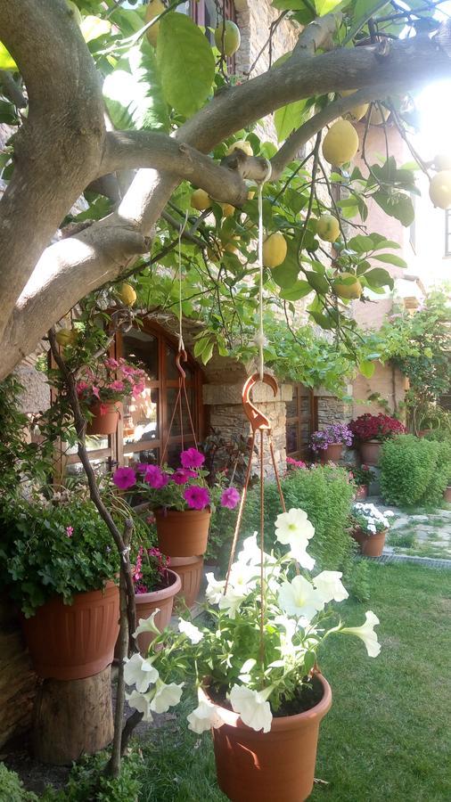 B&B Teresina Villasalto Zewnętrze zdjęcie