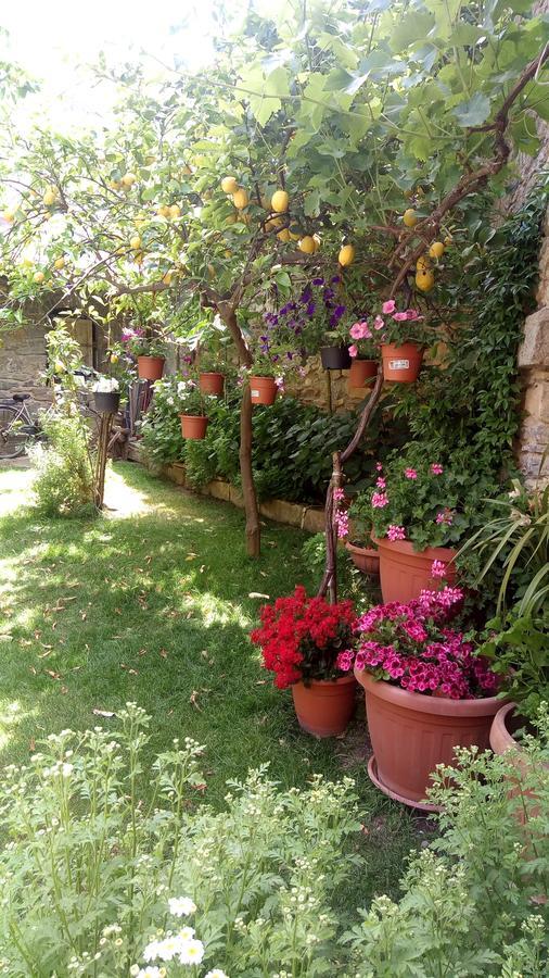 B&B Teresina Villasalto Zewnętrze zdjęcie